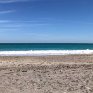 Meet your Posher, Bella